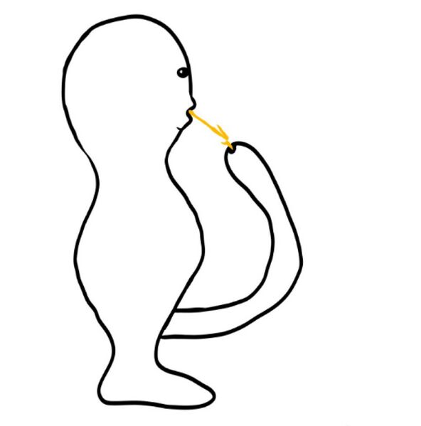 File:Peesuc.jpg