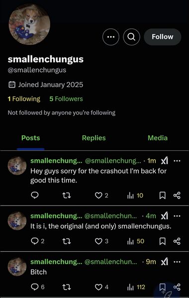 File:Smallenchungusbackafterbait9.jpg