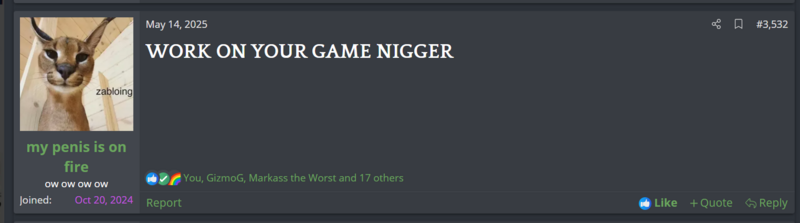 File:Work on your game nigger.PNG