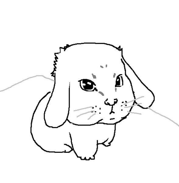 File:Cabbit.jpg